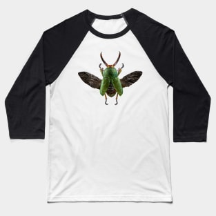 Saw Toothed Beetle Baseball T-Shirt